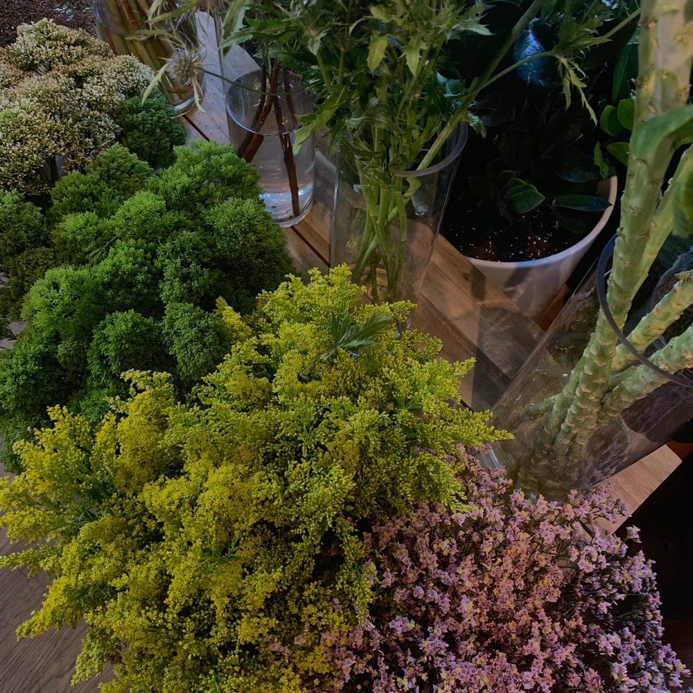 Meet your Posher, Diane